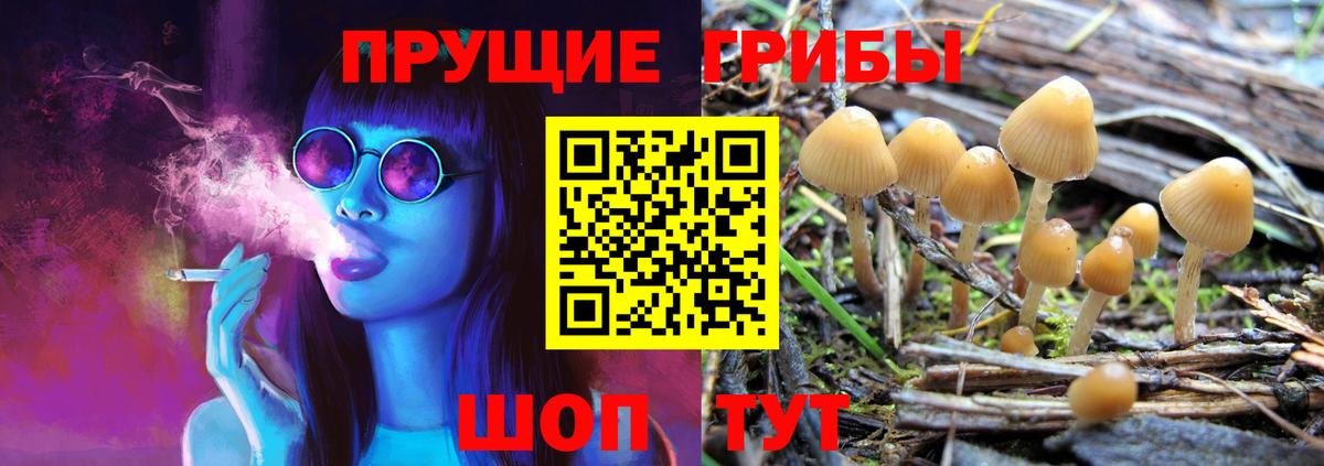 Снежинск  Псилоцибиновые грибы Psilocybe  Вход с VPN 
